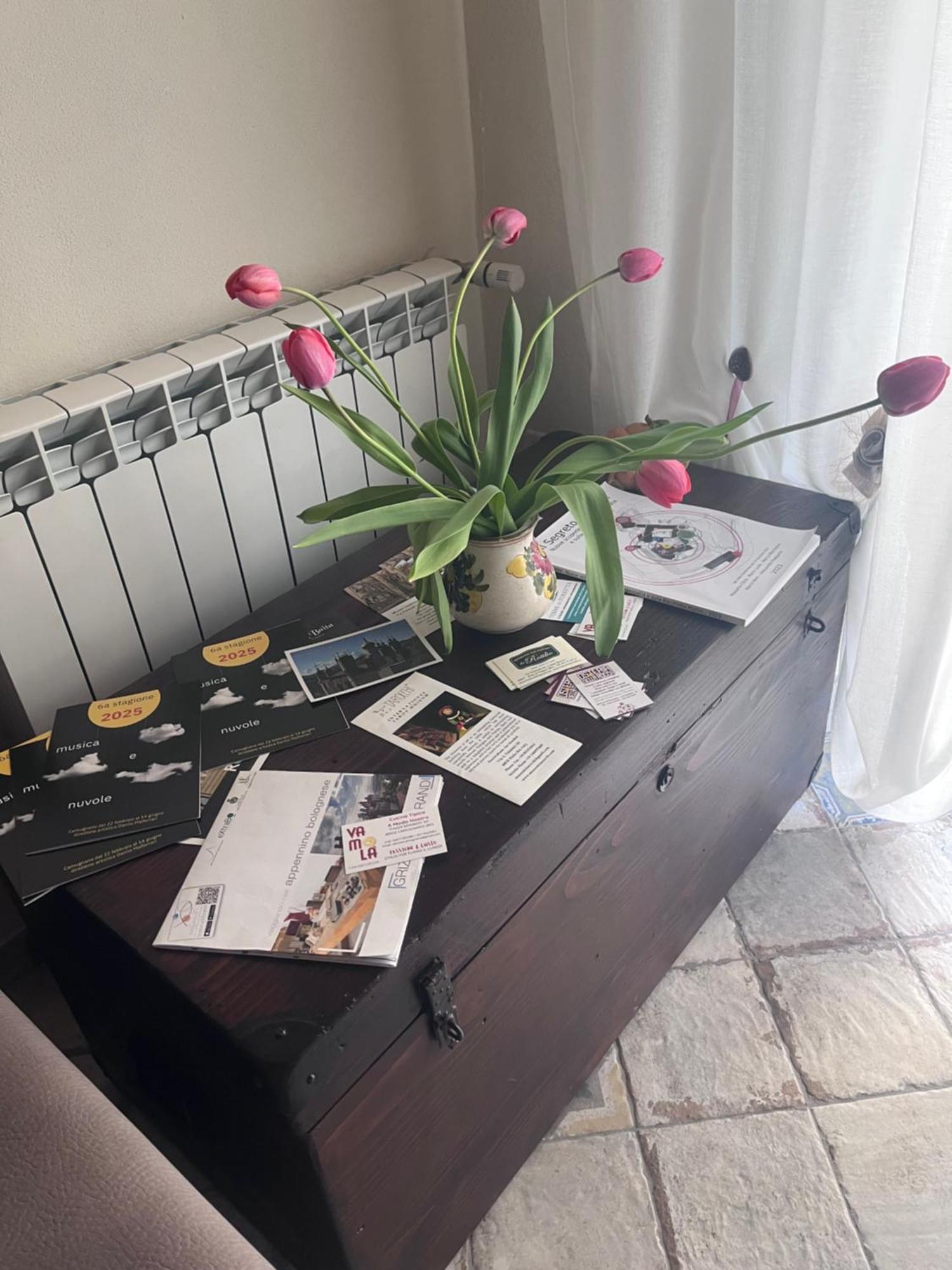 B&B Camelia Camugnano Bagian luar foto